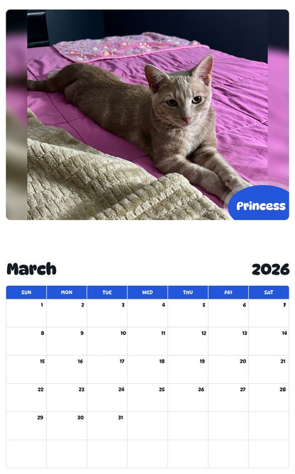 November 2025 - October 2026 Princess - Pawidols Pet Calendar
