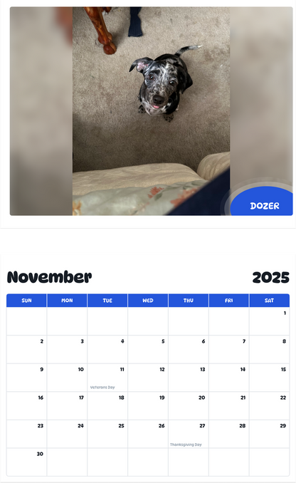 July 2025 - June 2026 Dozer - Pawidols Pet Calendar