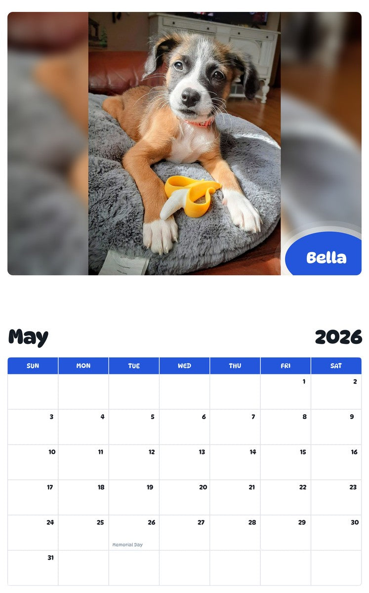 2026 - 2027 Bella - Pawidols Pet Calendar
