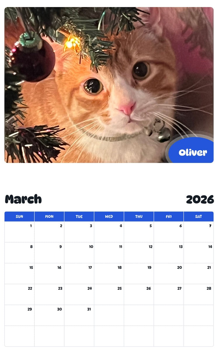 November 2025 - October 2026 Oliver - Pawidols Pet Calendar