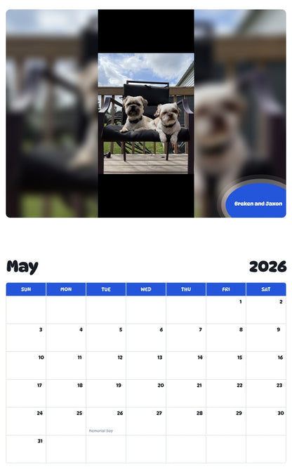 2026 - 2027 Breken and Jaxon - Pawidols Pet Calendar