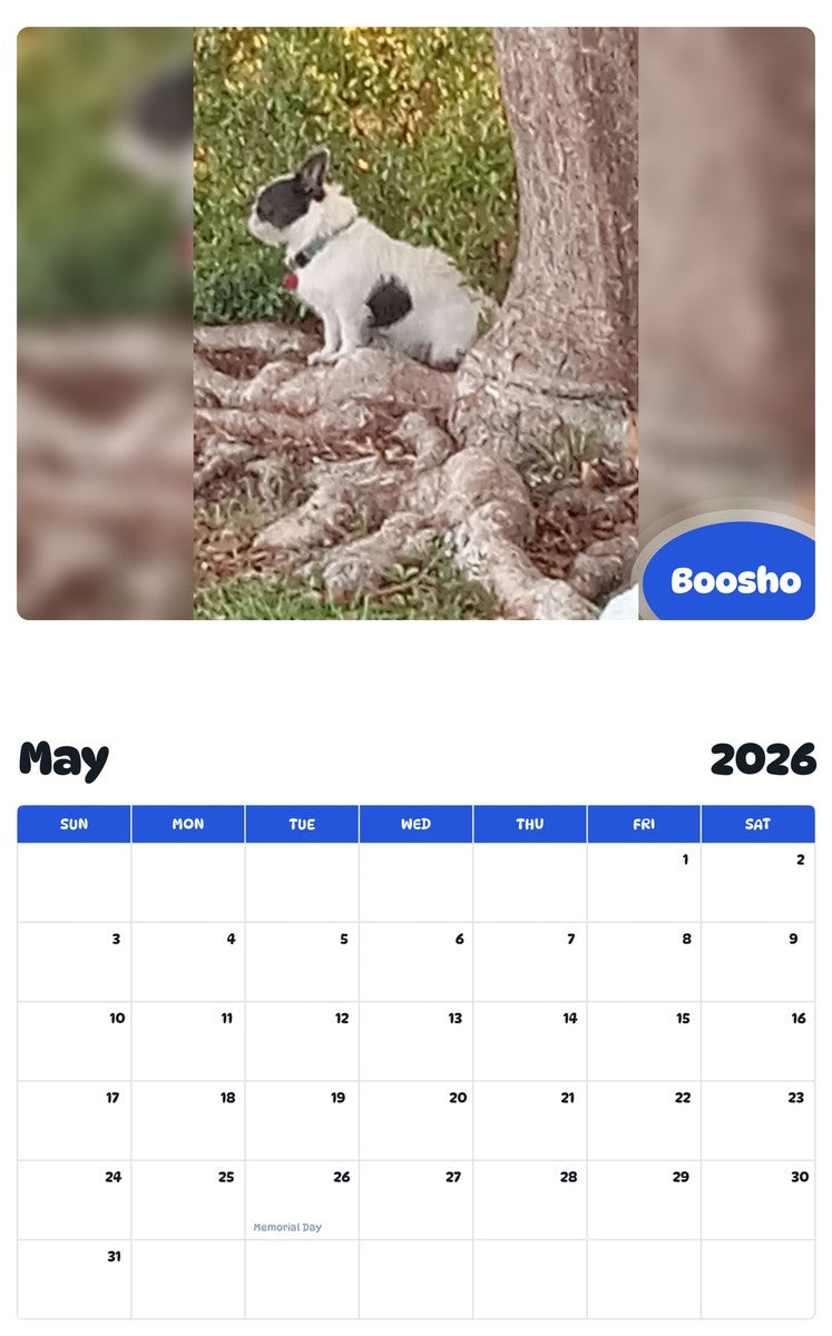 2026 - 2027 Boosho - Pawidols Pet Calendar