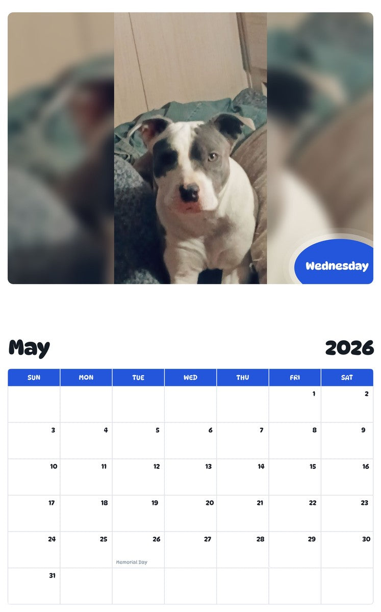 2026 - 2027 Wednesday - Pawidols Pet Calendar