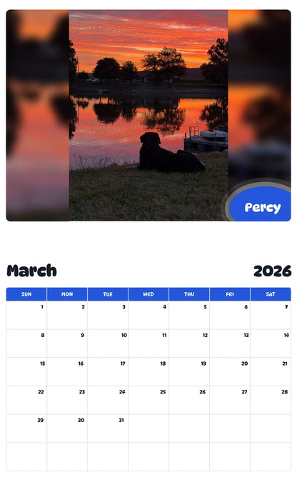 November 2025 - October 2026 Percy - Pawidols Pet Calendar