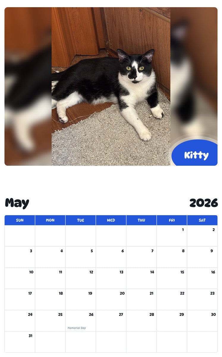 2026 - 2027 Kitty - Pawidols Pet Calendar