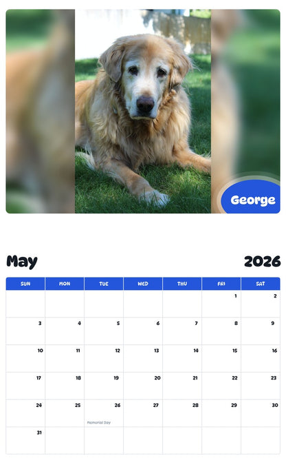 2026 - 2027 George - Pawidols Pet Calendar