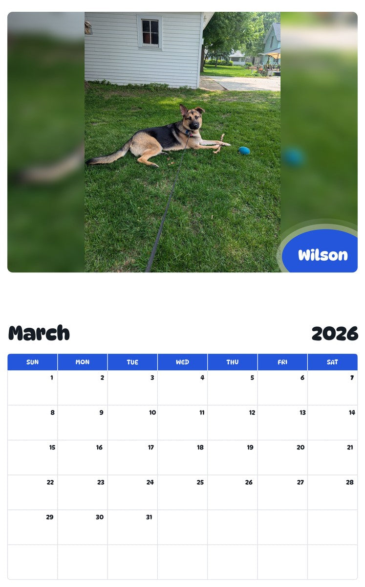 November 2025 - October 2026 Wilson - Pawidols Pet Calendar
