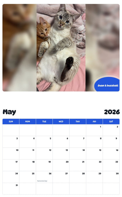 2026 - 2027 Juan & buzzball - Pawidols Pet Calendar