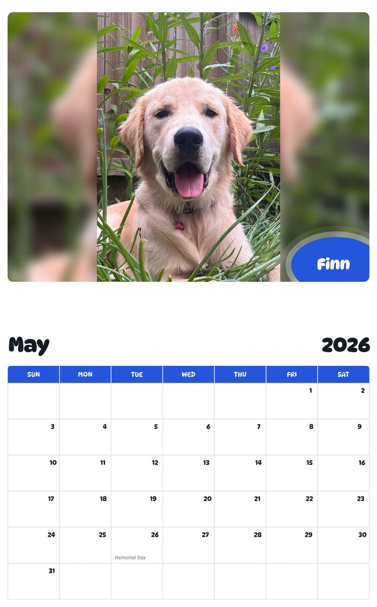 2026 - 2027 Finn - Pawidols Pet Calendar
