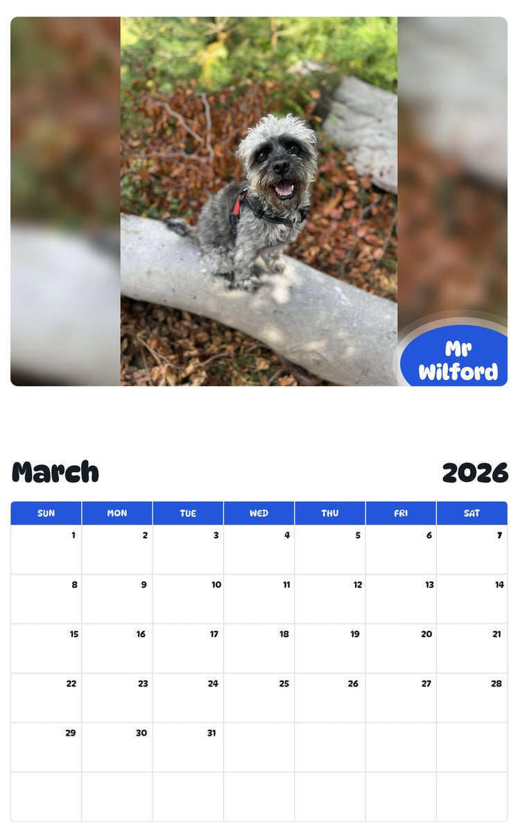 November 2025 - October 2026 Mr Wilford - Pawidols Pet Calendar