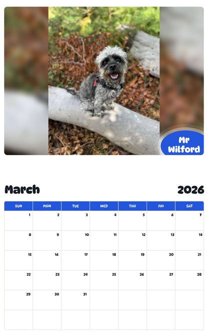 November 2025 - October 2026 Mr Wilford - Pawidols Pet Calendar