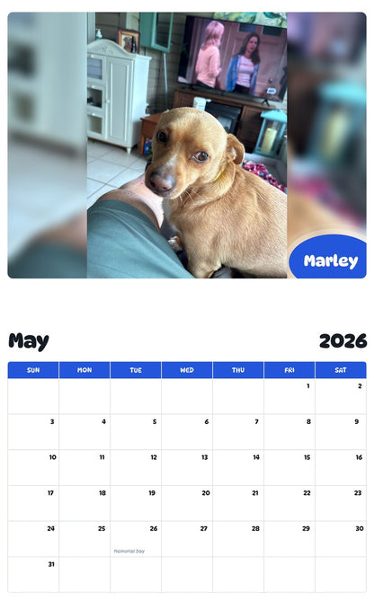 2026 - 2027 Marley - Pawidols Pet Calendar