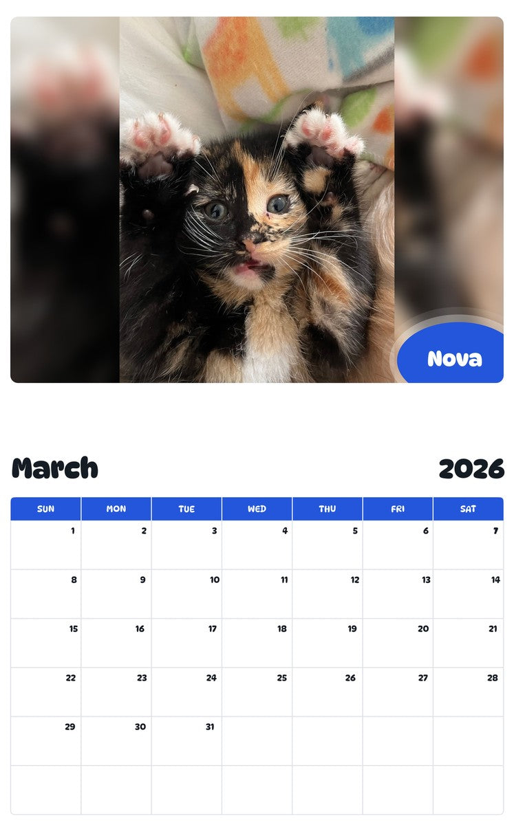 November 2025 - October 2026 Nova - Pawidols Pet Calendar