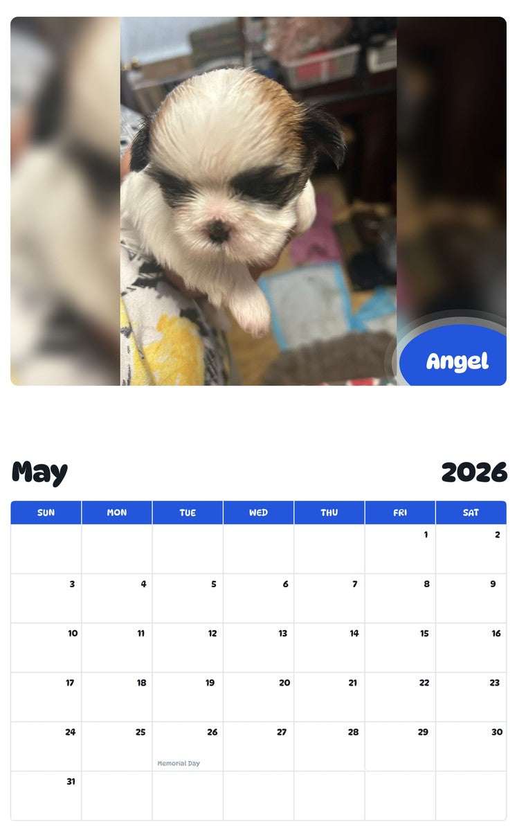 2026 - 2027 Angel - Pawidols Pet Calendar