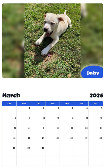 November 2025 - October 2026 Daisy - Pawidols Pet Calendar