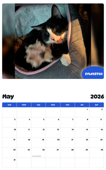 2026 - 2027 SYLVESTER - Pawidols Pet Calendar