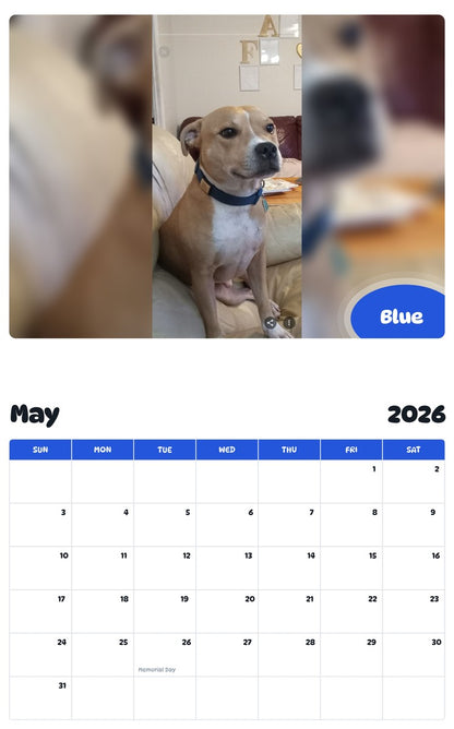 2026 - 2027 Blue - Pawidols Pet Calendar