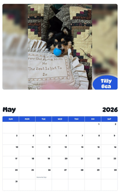 2026 - 2027 Tilly Bea - Pawidols Pet Calendar