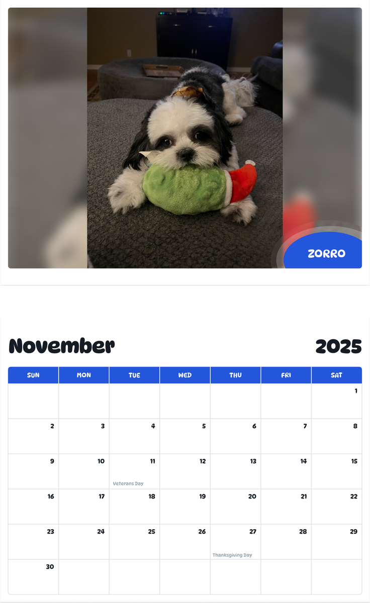 July 2025 - June 2026 Zorro - Pawidols Pet Calendar