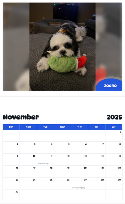 July 2025 - June 2026 Zorro - Pawidols Pet Calendar