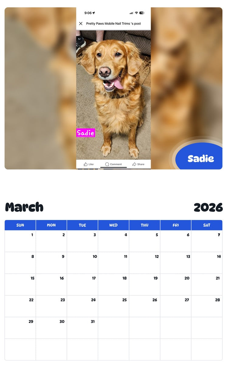 November 2025 - October 2026 Sadie - Pawidols Pet Calendar