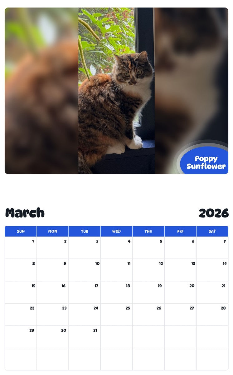 November 2025 - October 2026 Poppy Sunflower - Pawidols Pet Calendar