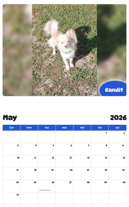 2026 - 2027 Bandit - Pawidols Pet Calendar