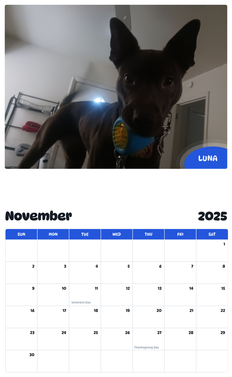 July 2025 - June 2026 Luna - Pawidols Pet Calendar