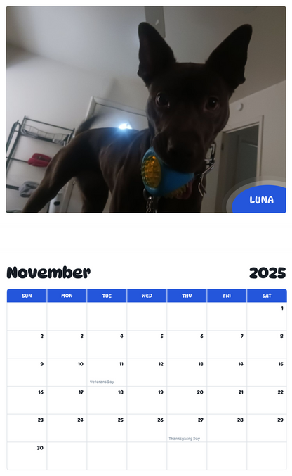 July 2025 - June 2026 Luna - Pawidols Pet Calendar