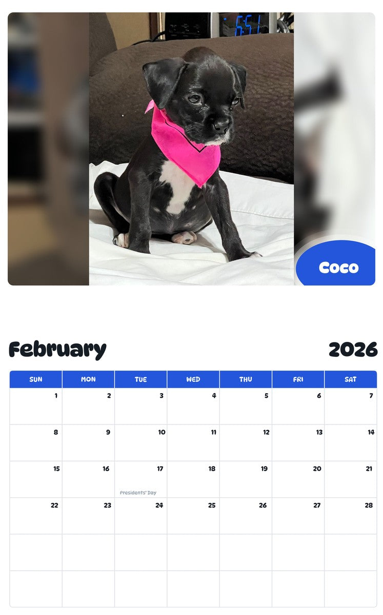 October 2025 - September 2026 Coco - Pawidols Pet Calendar