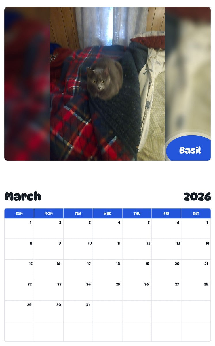 November 2025 - October 2026 Basil - Pawidols Pet Calendar