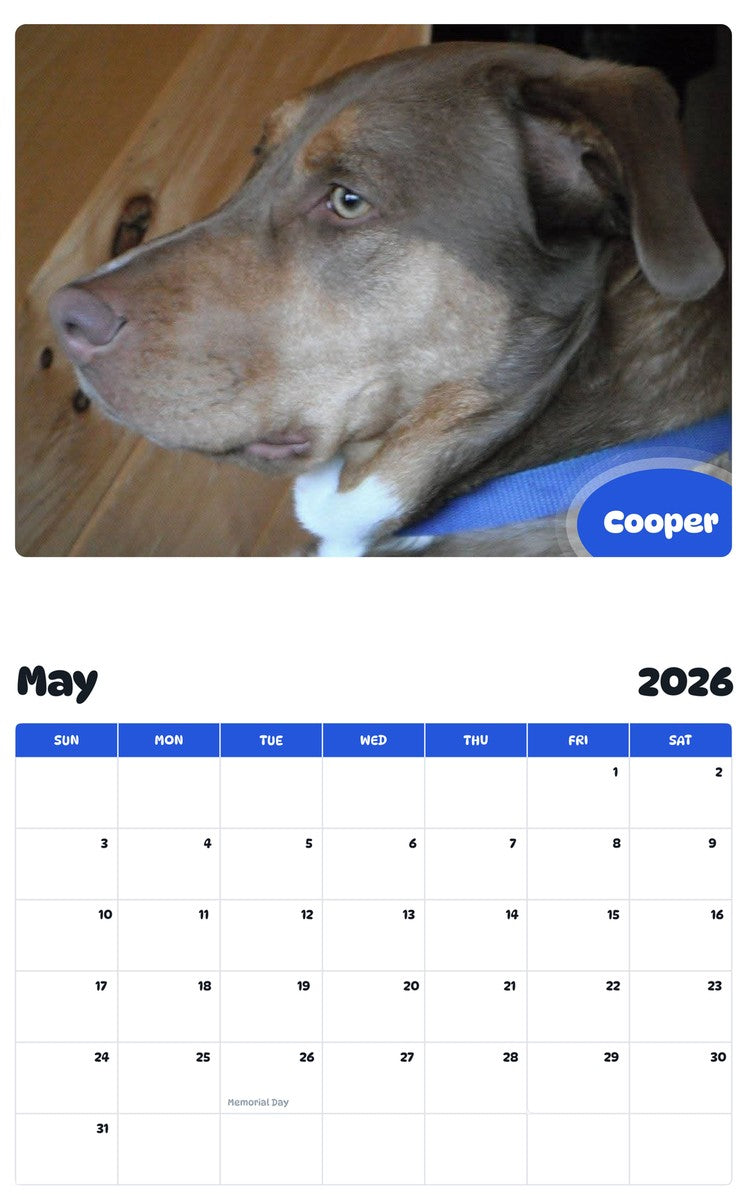 2026 - 2027 Cooper - Pawidols Pet Calendar