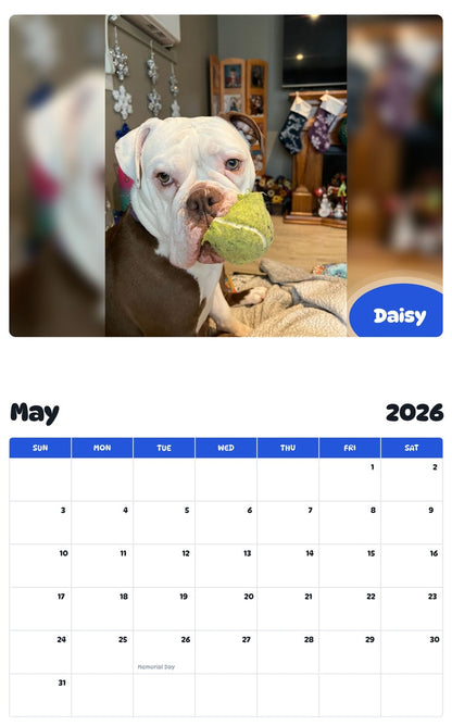 2026 - 2027 Daisy - Pawidols Pet Calendar