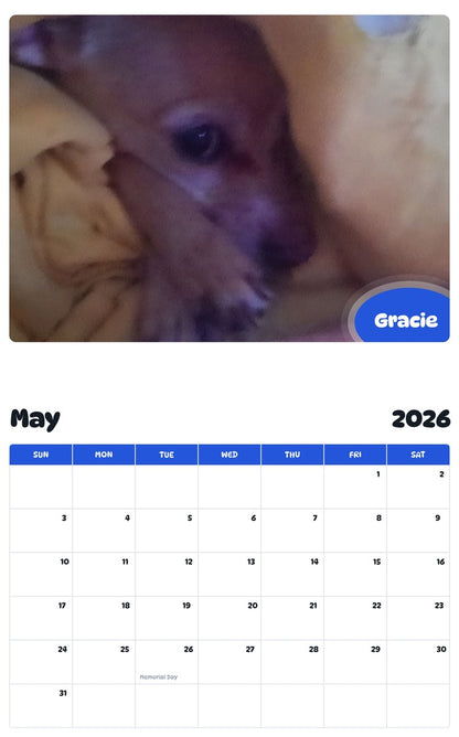 2026 - 2027 Gracie - Pawidols Pet Calendar