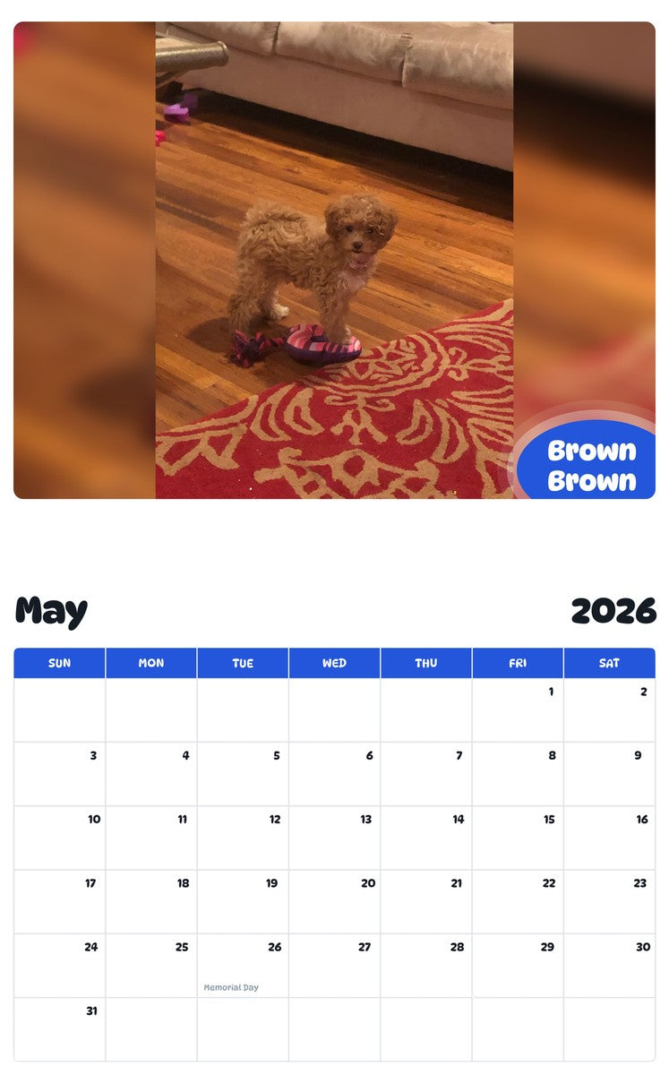 2026 - 2027 Brown Brown - Pawidols Pet Calendar