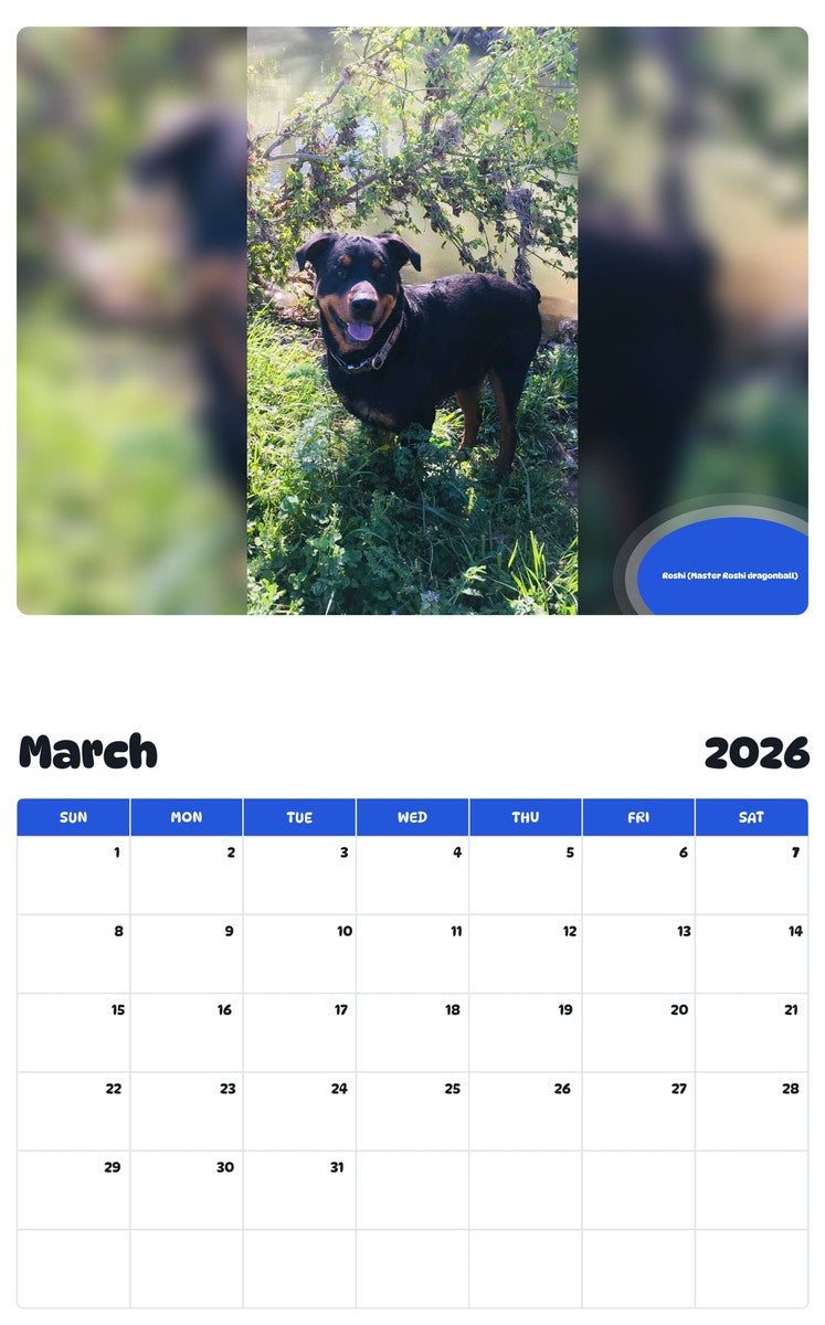 November 2025 - October 2026 Roshi (Master Roshi dragonball) - Pawidols Pet Calendar