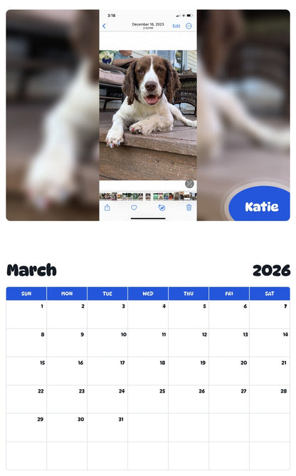 November 2025 - October 2026 Katie - Pawidols Pet Calendar