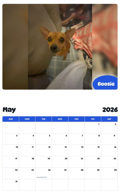 2026 - 2027 Boosie - Pawidols Pet Calendar