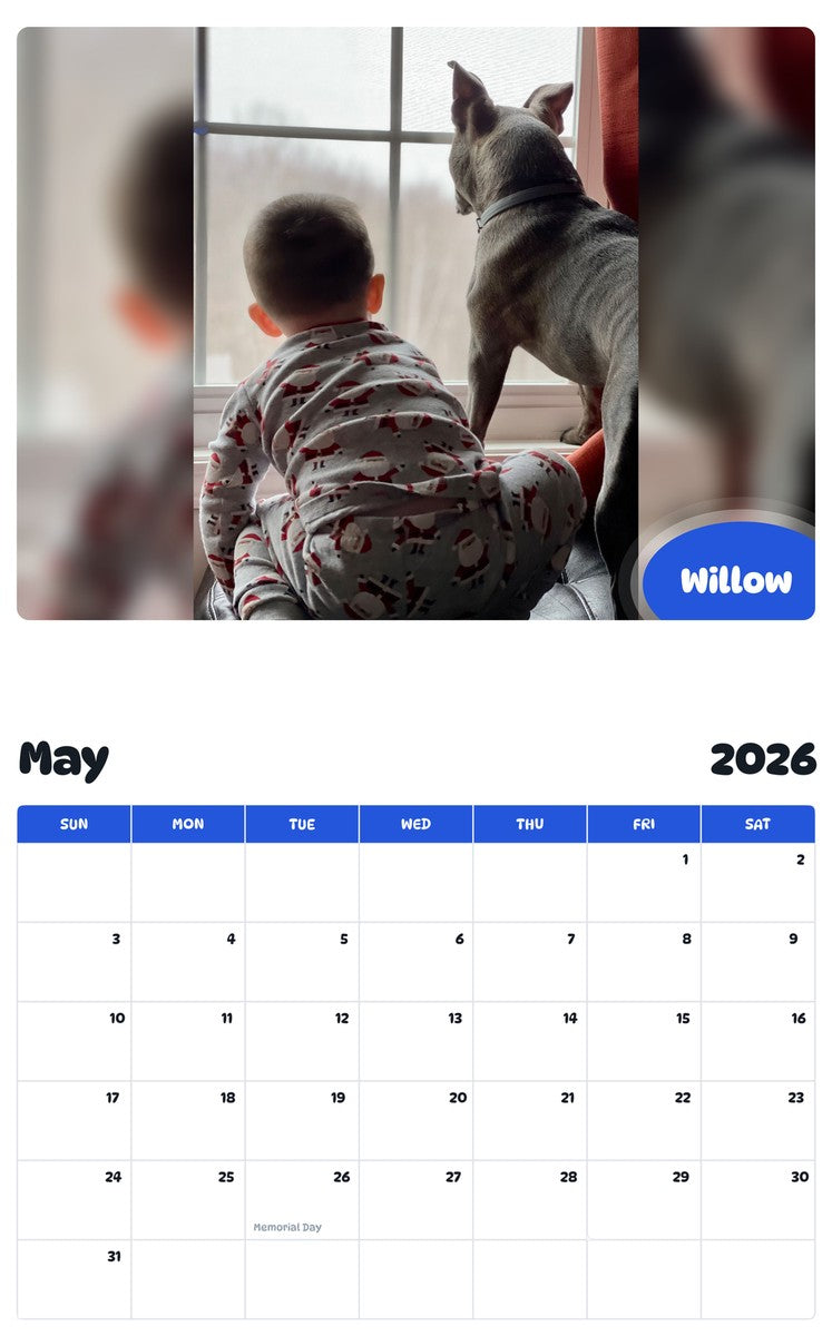 2026 - 2027 Willow - Pawidols Pet Calendar