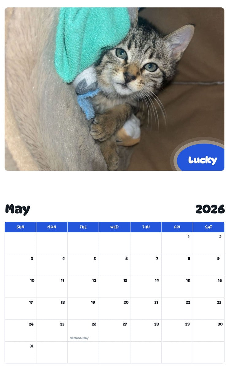 2026 - 2027 Lucky - Pawidols Pet Calendar