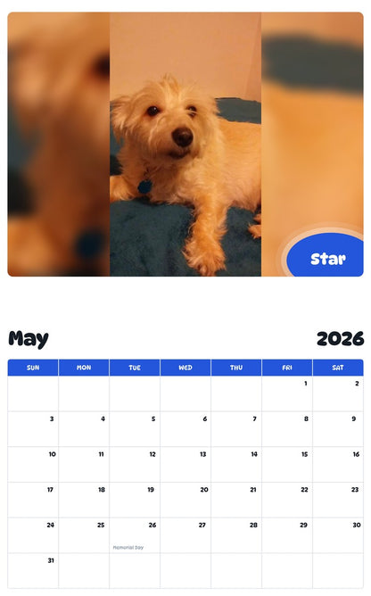 2026 - 2027 Star - Pawidols Pet Calendar