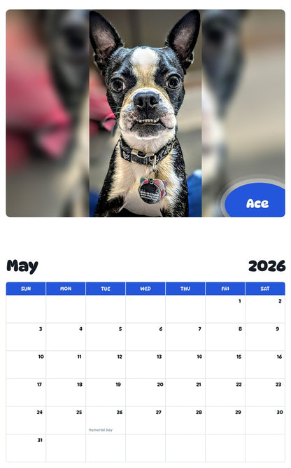 2026 - 2027 Ace - Pawidols Pet Calendar