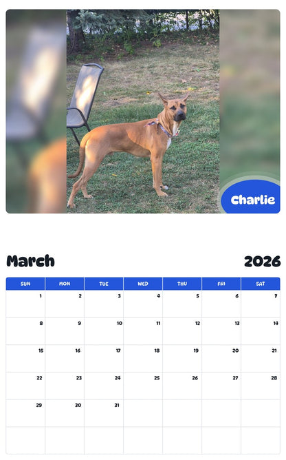 November 2025 - October 2026 Charlie - Pawidols Pet Calendar