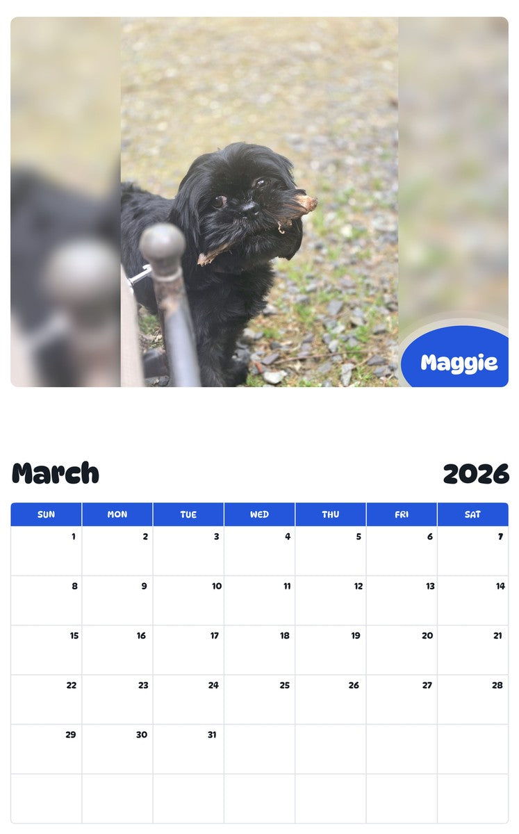 November 2025 - October 2026 Maggie - Pawidols Pet Calendar