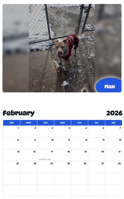 November 2025 - October 2026 Max - Pawidols Pet Calendar