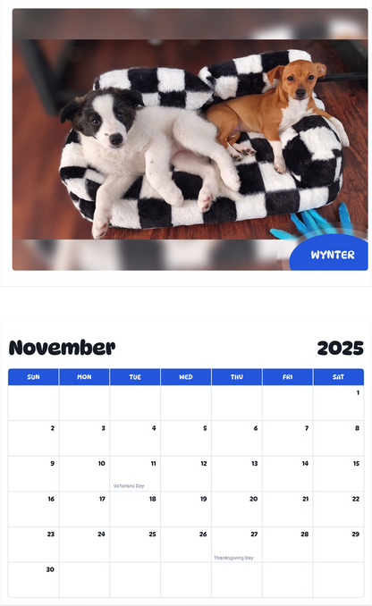 July 2025 - June 2026 Wynter - Pawidols Pet Calendar