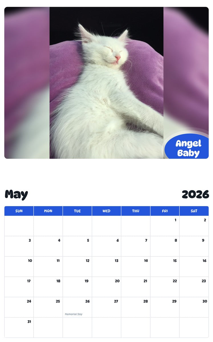 2026 - 2027 Angel Baby - Pawidols Pet Calendar