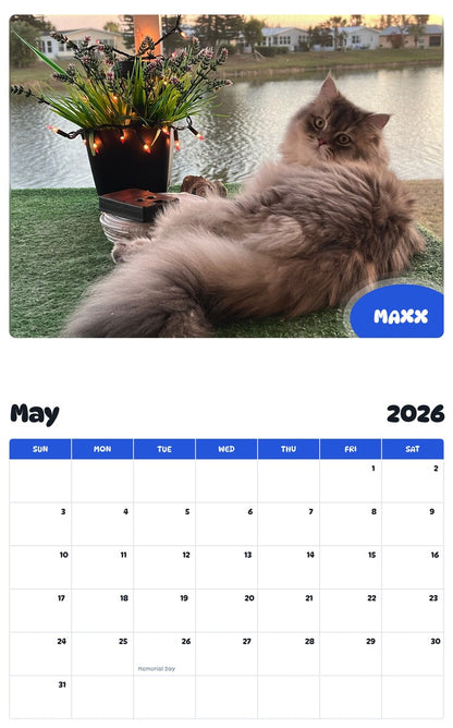 2026 - 2027 MAXX - Pawidols Pet Calendar