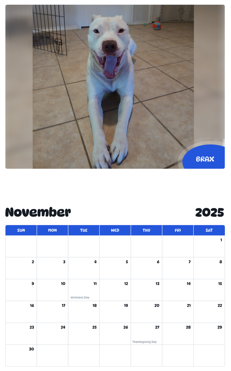 July 2025 - June 2026 Brax - Pawidols Pet Calendar