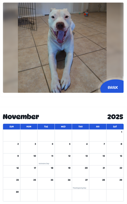 July 2025 - June 2026 Brax - Pawidols Pet Calendar